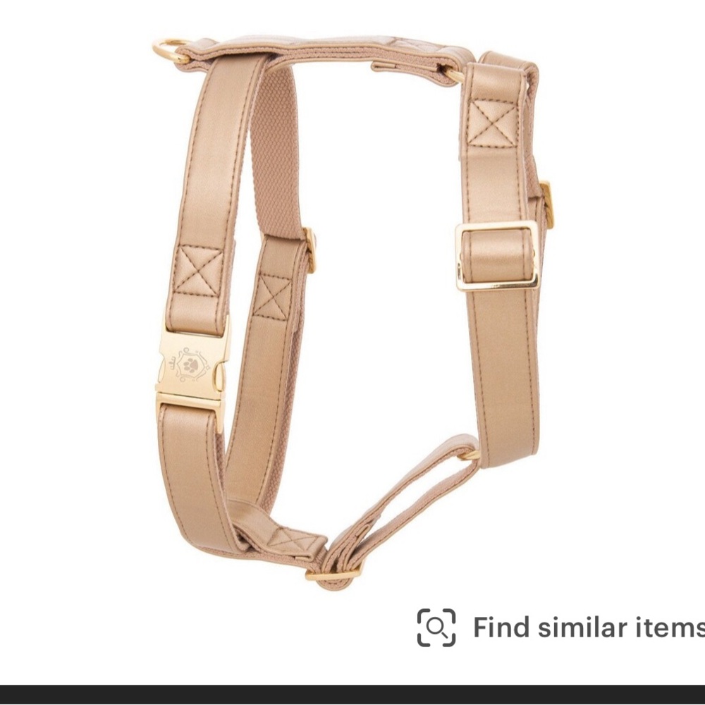 Royal gold dog harness